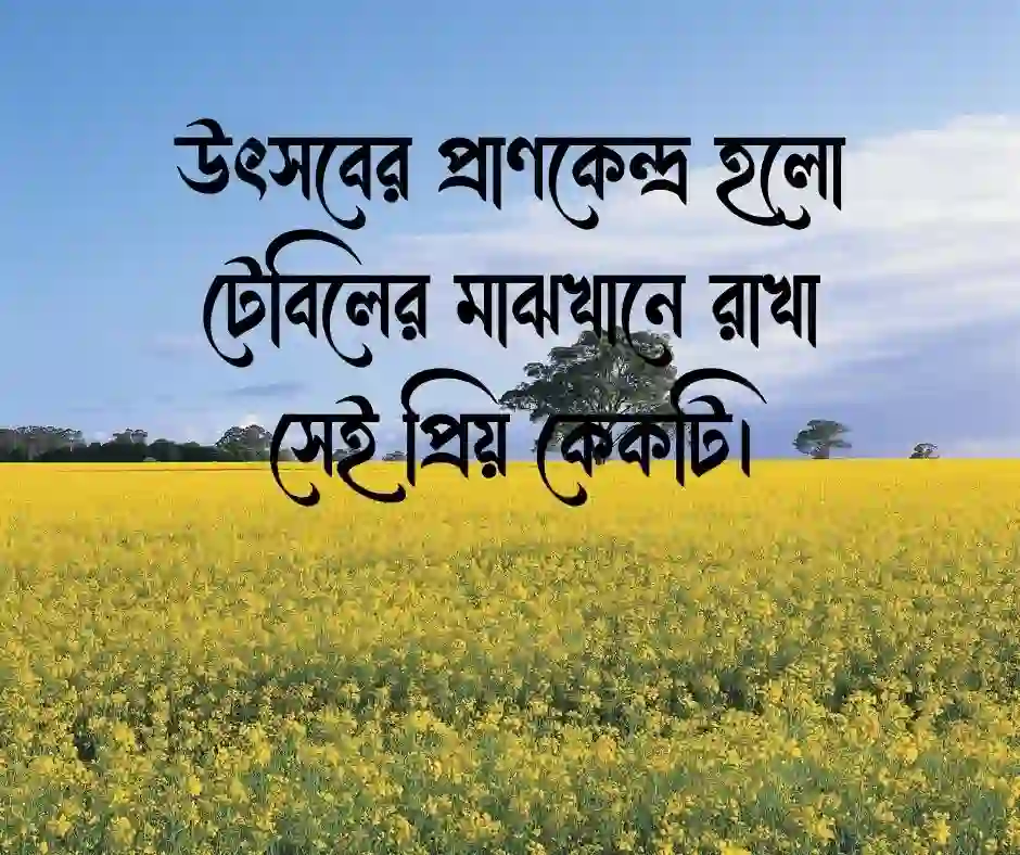 কেক নিয়ে উক্তি