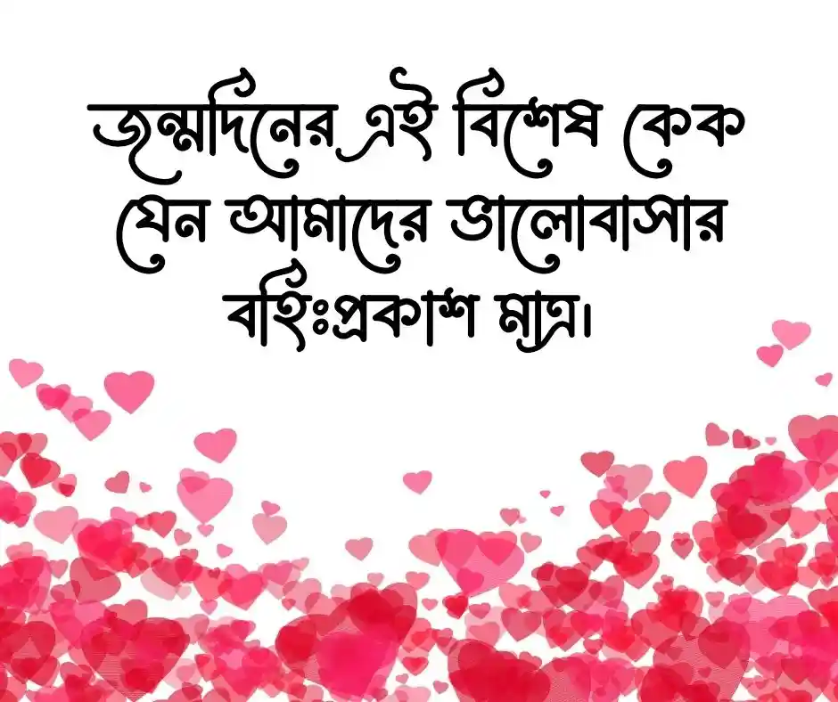 কেক নিয়ে ক্যাপশন