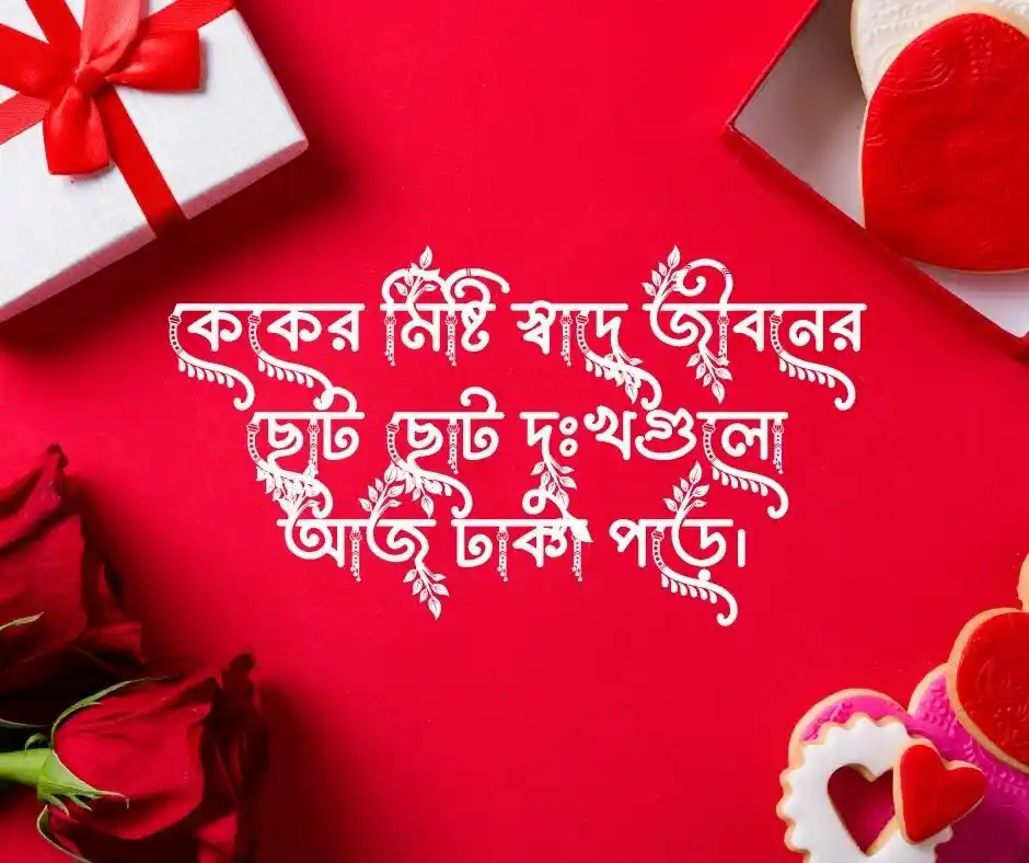 কেক নিয়ে স্ট্যাটাস
