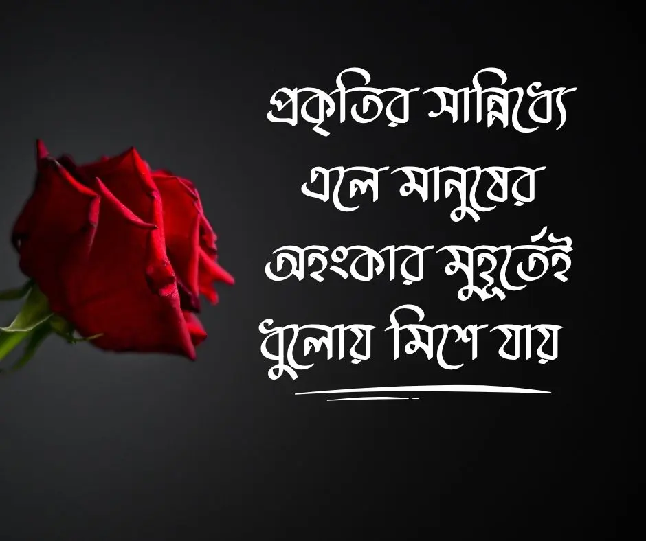 জাফলং নিয়ে উক্তি