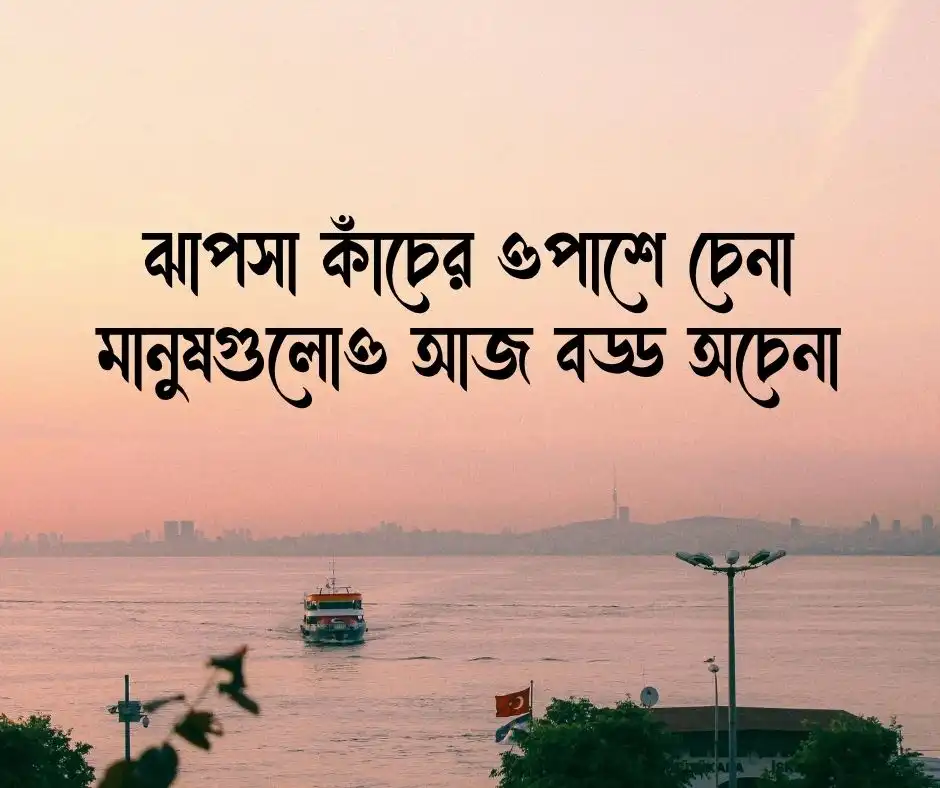 ঝাপসা নিয়ে ক্যাপশন