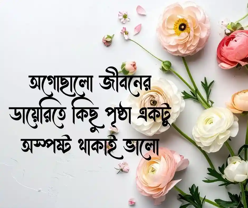 ঝাপসা নিয়ে স্ট্যাটাস