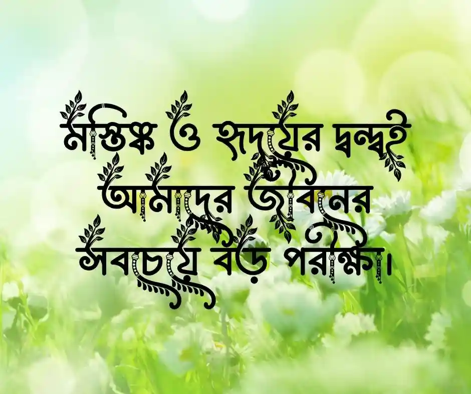 দ্বন্দ্ব নিয়ে ক্যাপশন