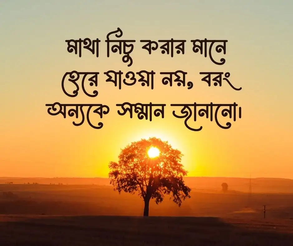 বিনয় নিয়ে ক্যাপশন