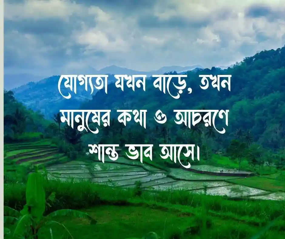 বিনয় নিয়ে স্ট্যাটাস