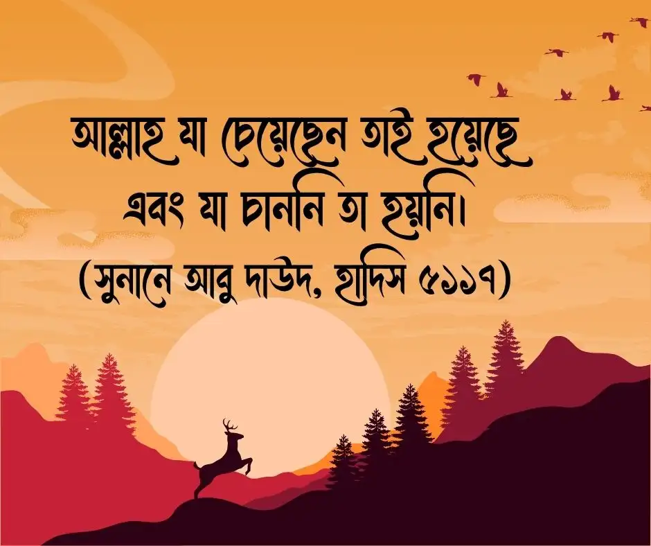 ভাগ্য নিয়ে উক্তি হাদিস