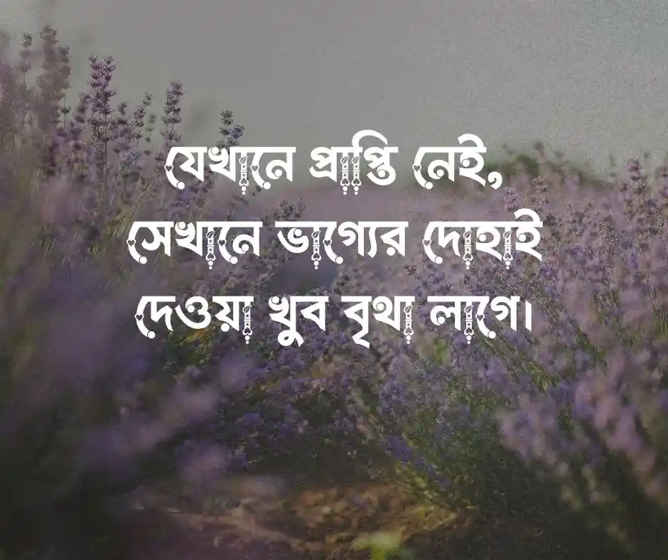 ভাগ্য নিয়ে কষ্টের স্ট্যাটাস
