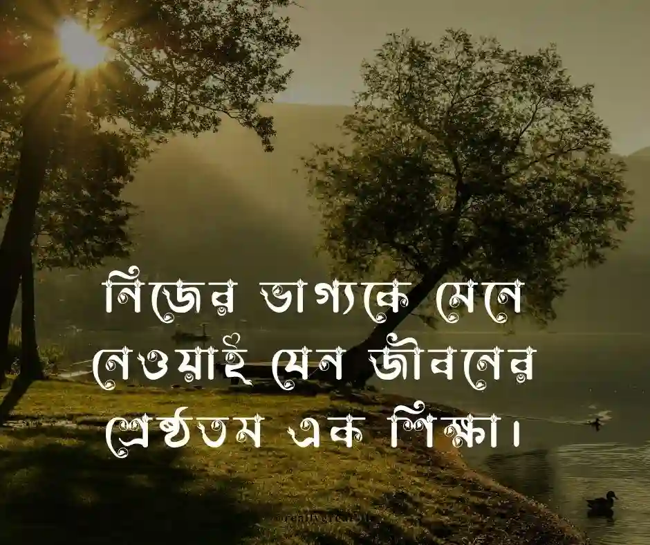 ভাগ্য নিয়ে স্ট্যাটাস