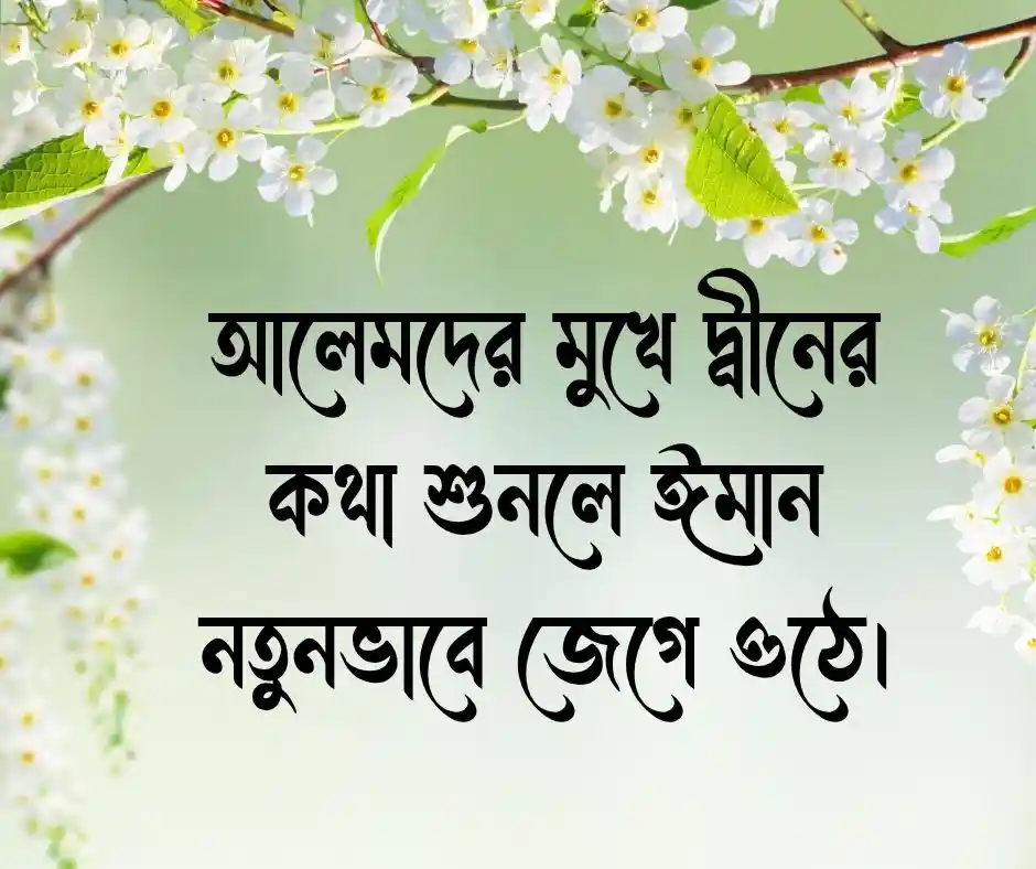 মাহফিল নিয়ে স্ট্যাটাস