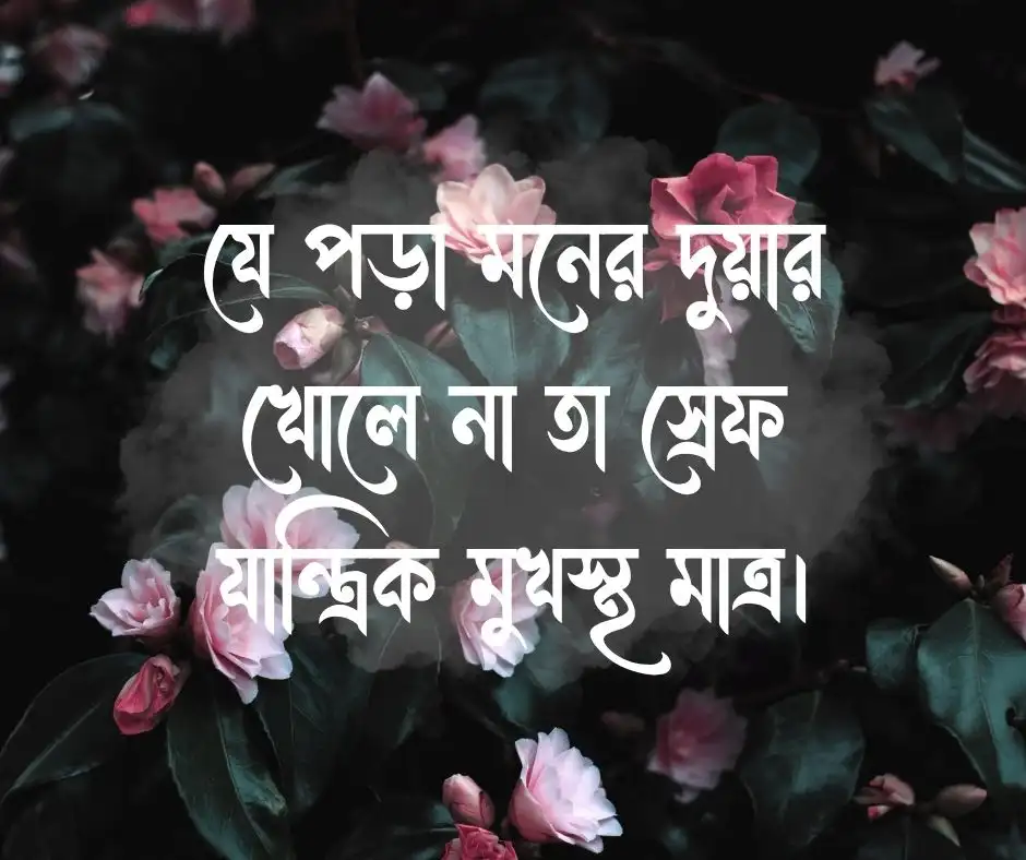 মুখস্ত বিদ্যা নিয়ে স্ট্যাটাস