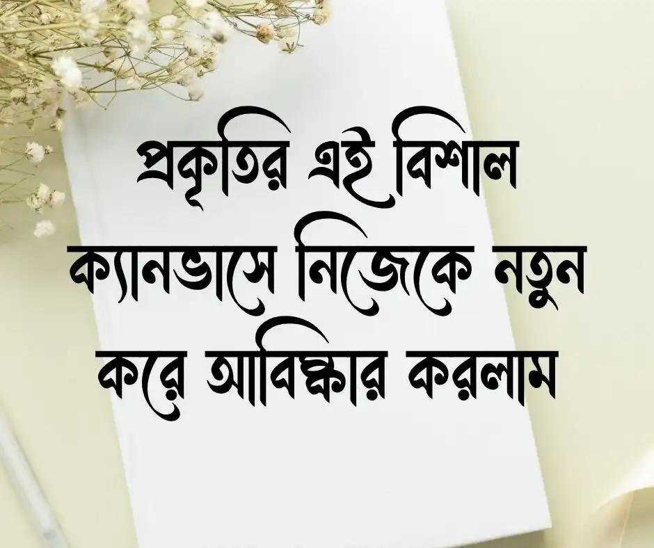 রাঙ্গামাটি নিয়ে স্ট্যাটাস