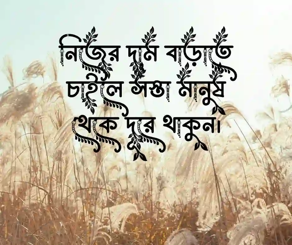 সস্তা নিয়ে উক্তি