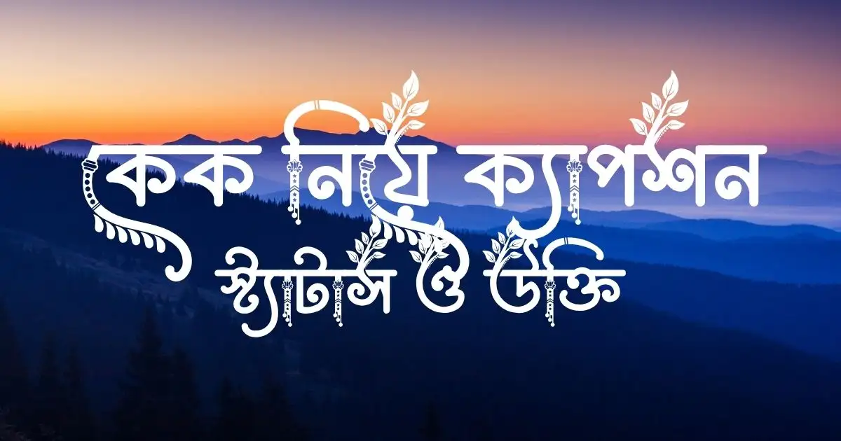 কেক নিয়ে ক্যাপশন, স্ট্যাটাস ও উক্তি