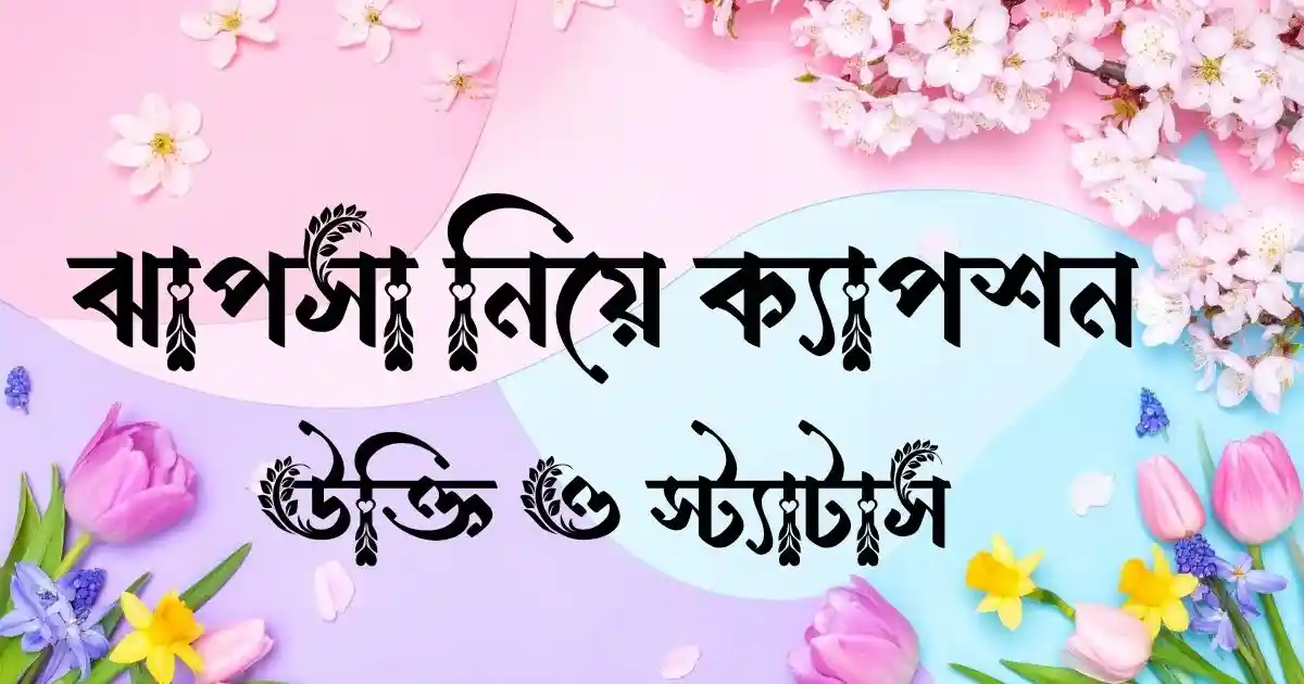 ঝাপসা নিয়ে ক্যাপশন, উক্তি ও স্ট্যাটাস