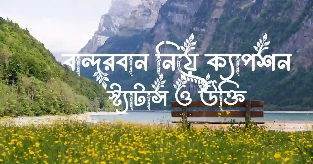 বান্দরবান নিয়ে ক্যাপশন, স্ট্যাটাস ও উক্তি