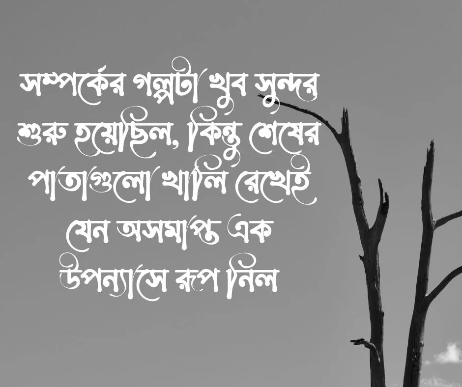 ইমোশনাল ও কষ্টের Bangla Caption