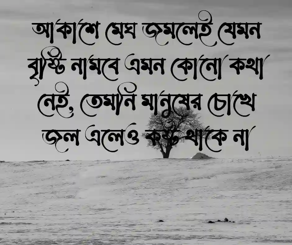 বাংলা ক্যাপশন সেরাটা Best Bangla Caption